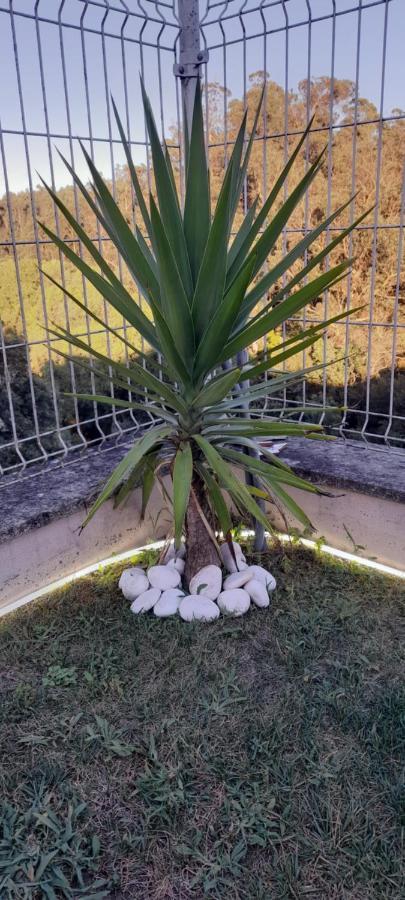 Casa Monte Beira Rio Touguinho Kültér fotó